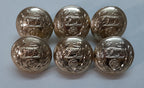 Royal Hampshire Buttons British Army Regimental Insignia Staybrite Size 40L X6