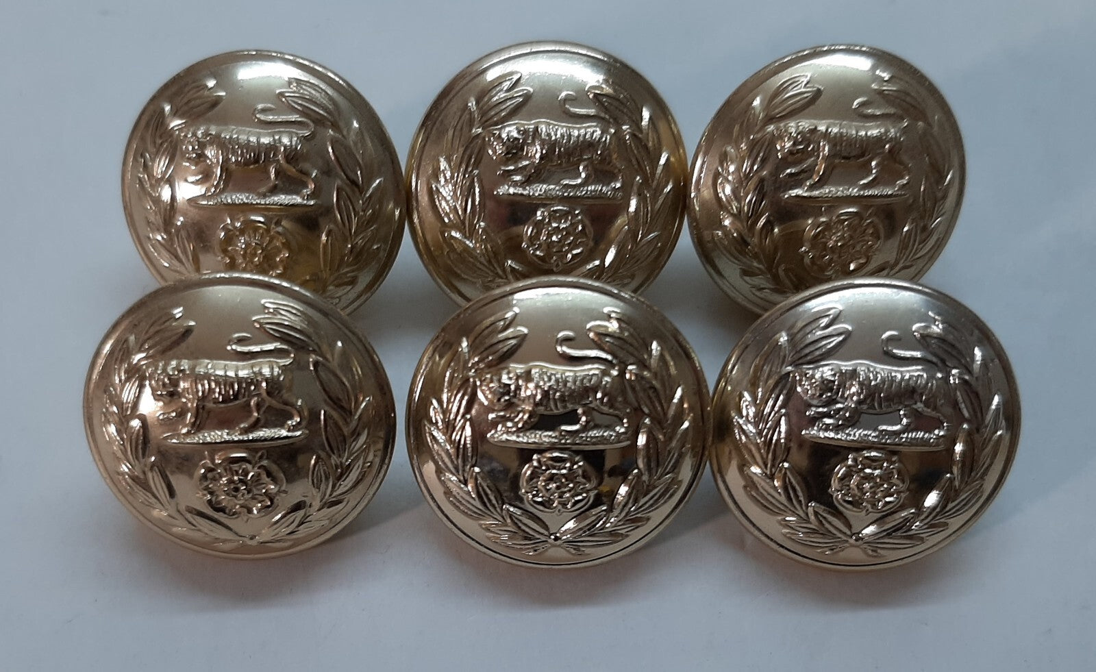 Royal Hampshire Buttons British Army Regimental Insignia Staybrite Size 40L X6