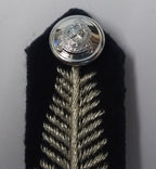 Oman Gorgets Collar Tabs Silver Leaf Detail Chrome Officers Insignia Buttons