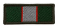 TRF Intelligence Corps British Army Arm Patch Tactical Recognition Flash