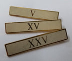 Genuine U.S Issued Metal Pin Bar Roman Numerals V XV or XXV I21