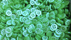 Buttons 100 Vintage 4 Hole Shirt / Shank Anchors Pearlesque Lime 11.3mm NOS