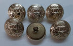 Royal Hampshire Buttons British Army Regimental Insignia Staybrite Size 40L X6