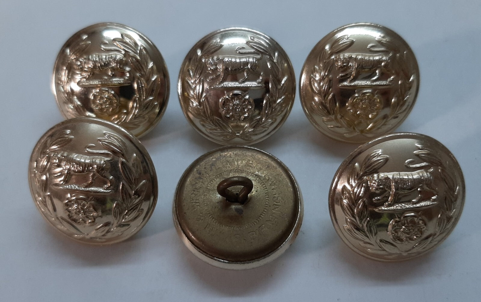 Royal Hampshire Buttons British Army Regimental Insignia Staybrite Size 40L X6