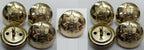 Worcestershire & Sherwood Foresters British Army No1 Uniform Buttons 30L X9