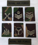 British Army Insignia Slides Chest Device DPM OD Old Pattern Assorted Ranks X14