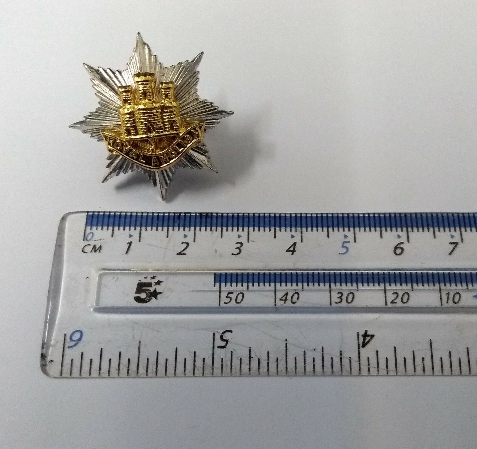 Vintage Royal ANGLIAN Regimental Genuine Badge British Army Issue Old Pattern