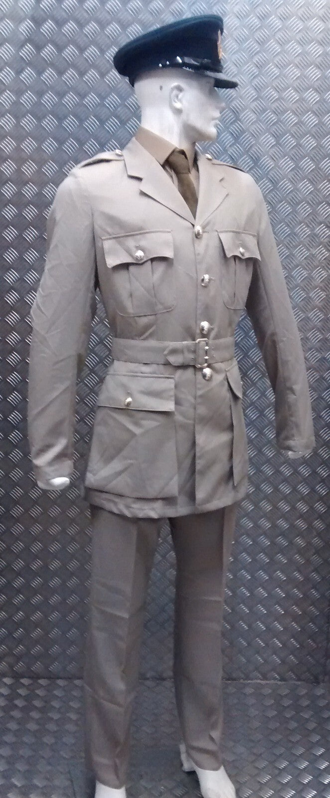 No4 No6 Tropical Safari Stone Suit WO Dress NEW