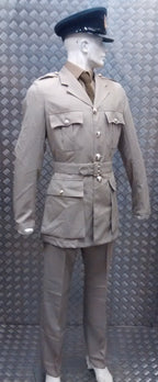 No4 No6 Tropical Safari Stone Suit WO Dress NEW