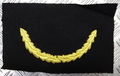 Officers Gold Mylar Oakleaf Braid Uncut Cap Peak Gold on Black Cloth