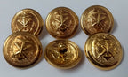 Genuine Naval Artillery Anchor & Cannon Insignia Shank Buttons X6 ASBT199