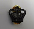 Genuine British Royal Marines RM Bronze Colour Officers 20mm Crown Badge RM1AX