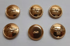 Generic Bird Buttons x 6 Size 30L Soaring Bird of Prey NEW