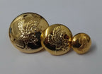 Bird & Star Dress Uniform Ring Back Buttons 1 Set 14 Buttons