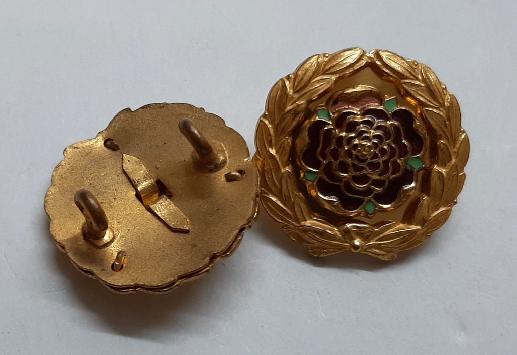 Vintage Royal Hampshire Regiment Officer's Gilt and Enamel Collar Badges X2