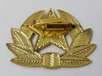 USSR Hat Badge Red Star Hammer & Sickle With Laurel Wreath Visor Cap & Ushanka