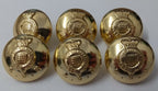 Genuine British Army The Royal Gloucestershire Hussars Dress Buttons 38L x20