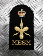 Royal Navy Embroidered Assorted Branch Qualification RN Badge / Patch