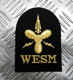 Royal Navy Embroidered Assorted Branch Qualification RN Badge / Patch