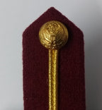 Arab Emirates Gorgets Collar Tabs Gold Braid Detail Senior Officers UAE Buttons