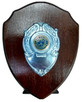 The Guide Association Wooden Shield Plaque with Metal Badge made in 1995