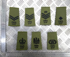 Duke of Wellington's Regiment DWR CCF OD Green Rank Slides British Army - NEW