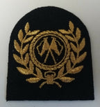 Genuine Royal Navy Embroidered Various Skills Qualification Small Badges Asst