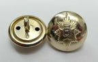 Worcestershire & Sherwood Foresters British Army No1 Uniform Buttons 30L X9