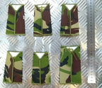 Woodland DPM Camo 2nd Highlanders ACF Rank Slides Assorted - NEW