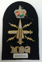 Naval SSM Badge Qualification Specialist Submariner Sensor Petty OFC (PO)