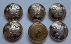 RRW Insignia Buttons British Army Ich Dien Royal Regiment of Wales 40L
