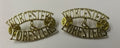 Genuine British The Worcester Foresters Shoulder Title Badges NEW