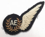 RAF Brevet Half-Wing AE (Air Electronics) Royal Air Force Patch