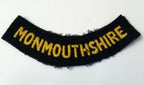Vintage & Civil Defence Monmouthshire Shoulder Flash