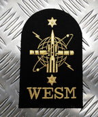 Royal Navy Embroidered Assorted Branch Qualification RN Badge / Patch