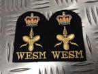 Royal Navy Embroidered Assorted Branch Qualification RN Badge / Patch NEW