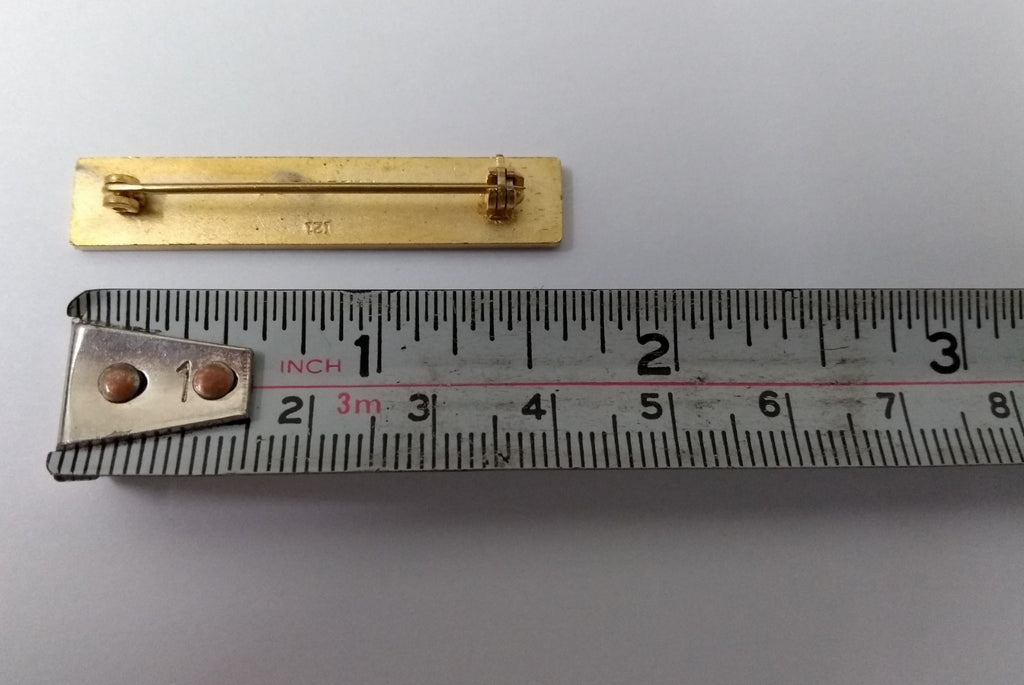 Genuine U.S Issued Metal Pin Bar Roman Numerals V XV or XXV I21