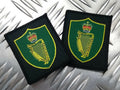 Harp & Crown Cloth Arm Badge Made in England Insignia X2