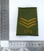 Adjutant General's Corps AGC Staff & Personnel Support SPS Sergeant Rank Slide