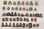 Forage Cap/Side Hat Wire Braided Felt Beret Badges Various Types