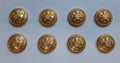 RAChD Chaplains Buttons X8 British Royal Army Chaplains’ Department Insignia