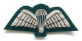 Para Wings British Silver on Green Backing Mess Kit Insignia