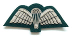 Para Wings British Silver on Green Backing Mess Kit Insignia