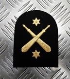 Royal Navy Embroidered Assorted Branch Qualification RN Badge / Patch