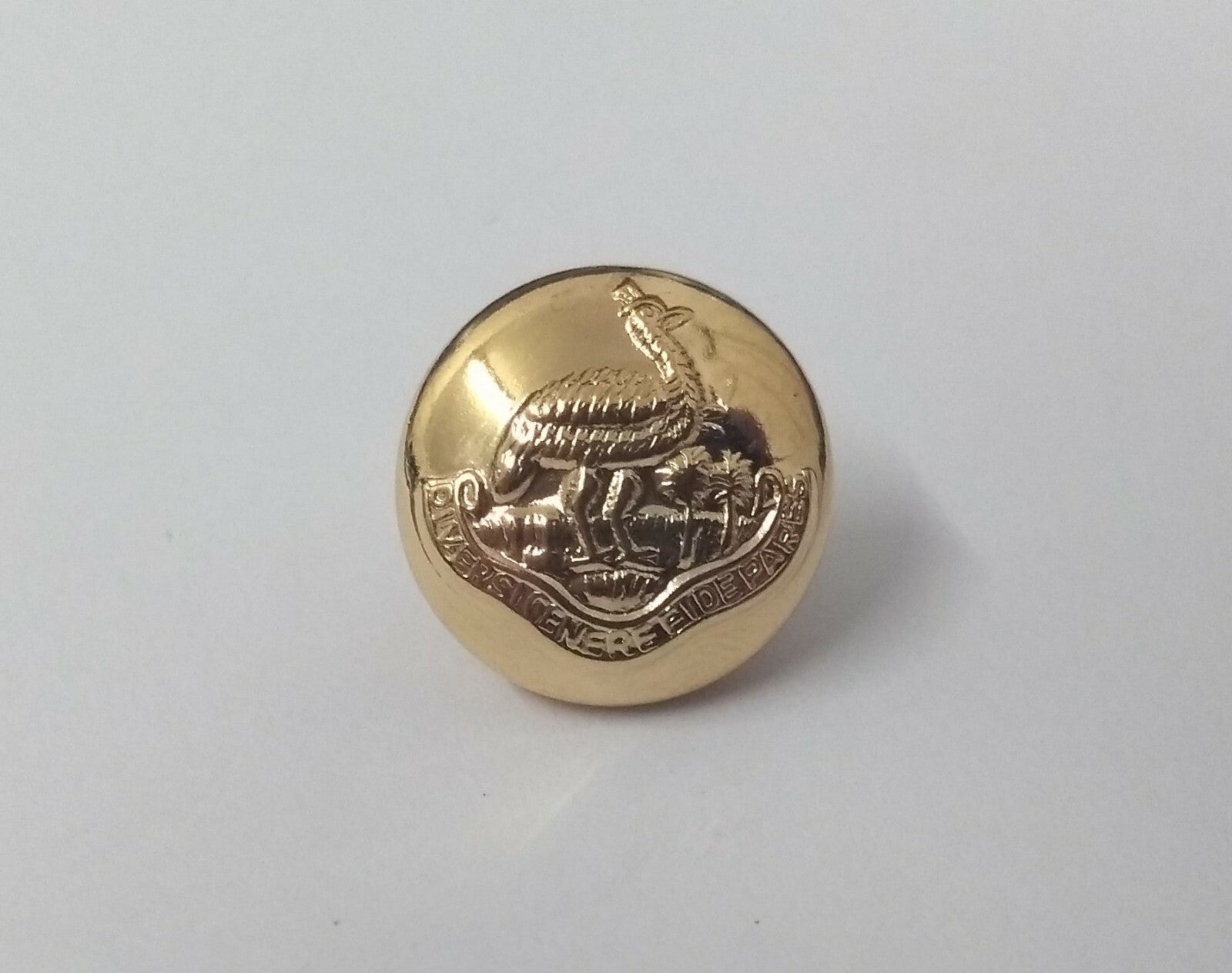 Northern Rhodesian Regimental Genuine Vintage Issue Gold Buttons 13mm X 10 - NEW