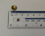 Brass Stud Head Caps British Issue 9mm Diameter X20 Pieces Unissued