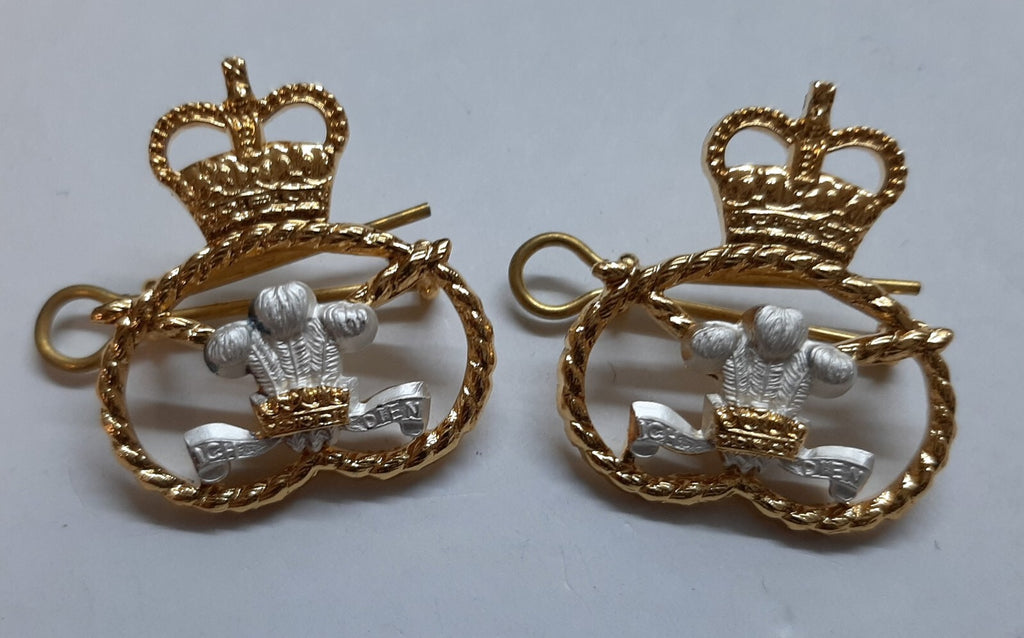The Staffordshire Regiment Old Pattern Collar Dogs and Split Pins