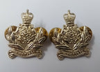Intelligence Corps Collar Dogs Snap Pin New T1