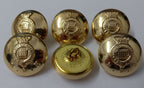 Genuine British Army The Royal Gloucestershire Hussars Dress Buttons 38L x20