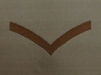 Rank Badges Army Green / Desert OD / DS Subdued Assorted Ranks 1 Pair New